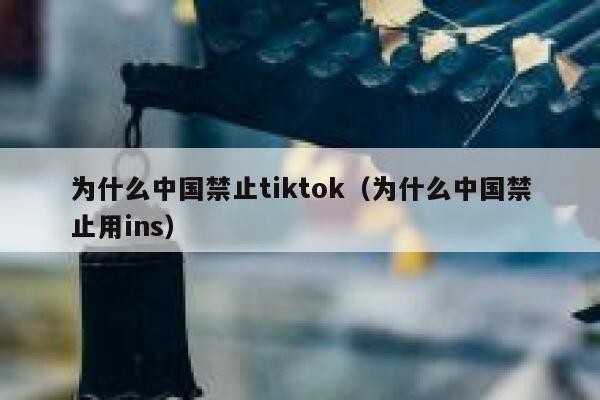 为什么中国禁止tiktok（为什么中国禁止用ins） 第1张