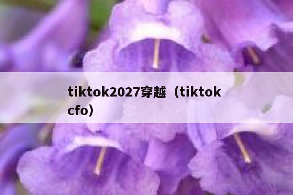 tiktok2027穿越（tiktok cfo） 第1张