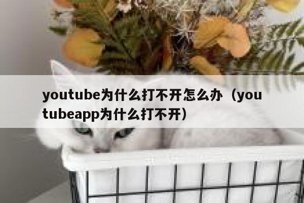 youtube为什么打不开怎么办（youtubeapp为什么打不开） 第1张