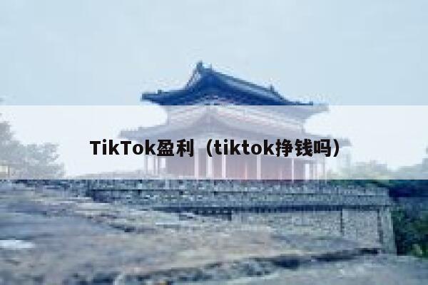 TikTok盈利（tiktok挣钱吗） 第1张