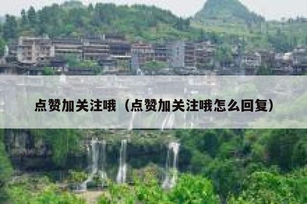 点赞加关注哦（点赞加关注哦怎么回复） 第1张