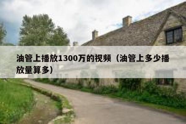 油管上播放1300万的视频（油管上多少播放量算多） 第1张