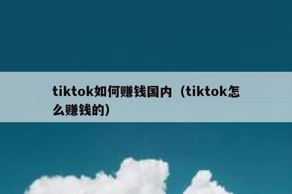 tiktok如何赚钱国内（tiktok怎么赚钱的） 第1张