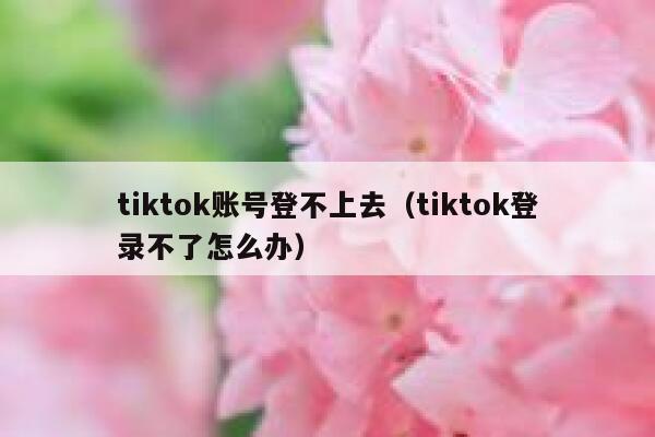 tiktok账号登不上去（tiktok登录不了怎么办） 第1张