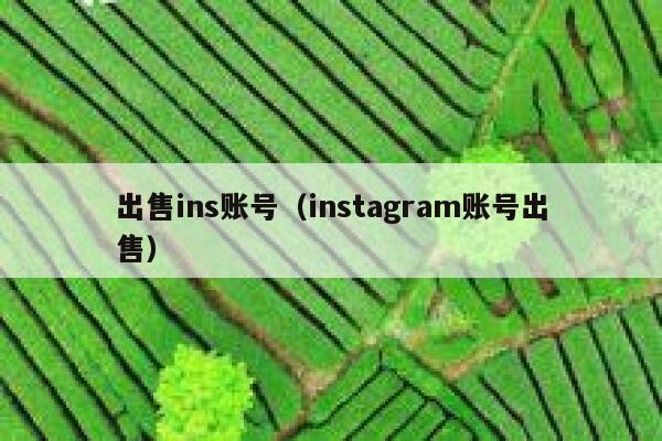出售ins账号（instagram账号出售） 第1张