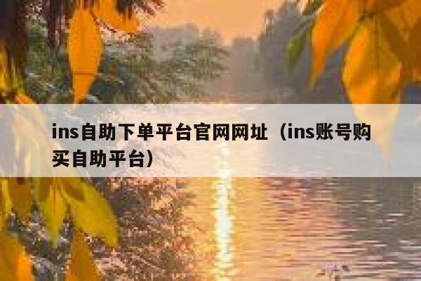 ins自助下单平台官网网址（ins账号购买自助平台） 第1张