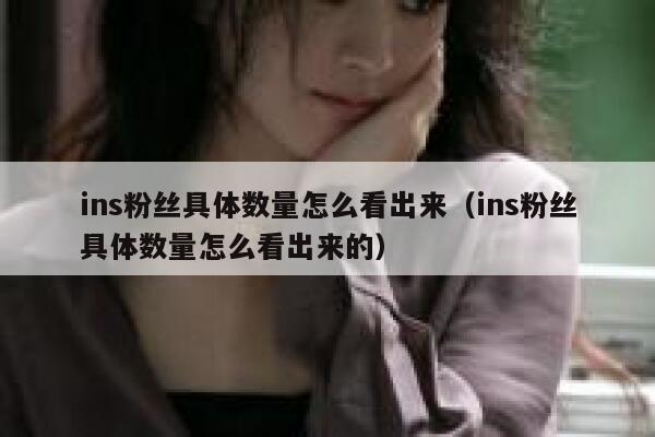 ins粉丝具体数量怎么看出来（ins粉丝具体数量怎么看出来的） 第1张