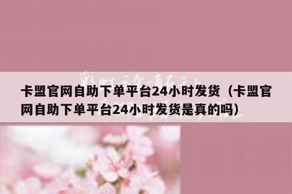 卡盟官网自助下单平台24小时发货（卡盟官网自助下单平台24小时发货是真的吗） 第1张