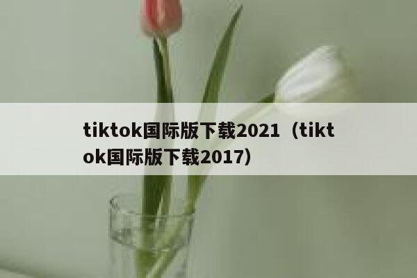 tiktok国际版下载2021（tiktok国际版下载2017） 第1张