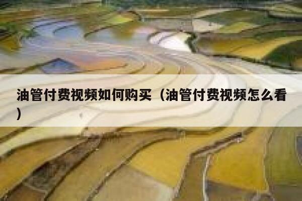 油管付费视频如何购买（油管付费视频怎么看） 第1张