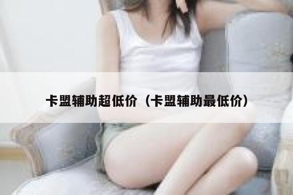 卡盟辅助超低价（卡盟辅助最低价） 第1张