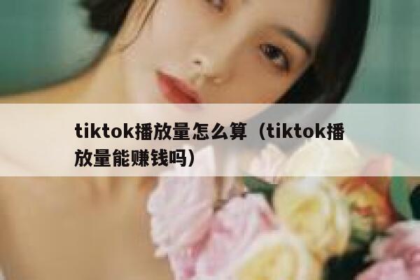 tiktok播放量怎么算（tiktok播放量能赚钱吗） 第1张