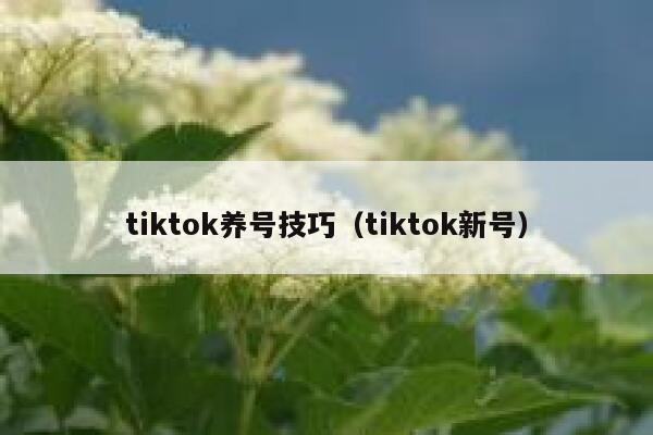 tiktok养号技巧（tiktok新号） 第1张