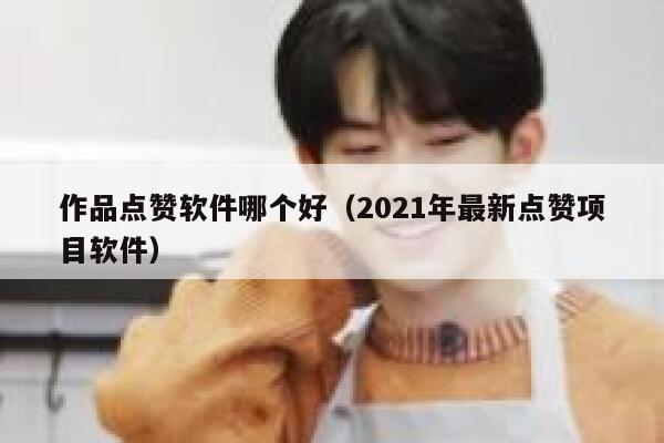 作品点赞软件哪个好（2021年最新点赞项目软件） 第1张