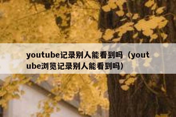 youtube记录别人能看到吗（youtube浏览记录别人能看到吗） 第1张