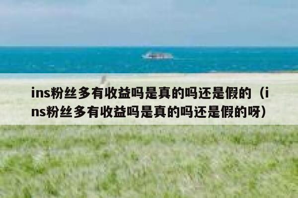 ins粉丝多有收益吗是真的吗还是假的（ins粉丝多有收益吗是真的吗还是假的呀） 第1张