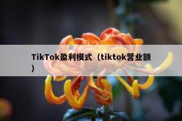 TikTok盈利模式（tiktok营业额） 第1张