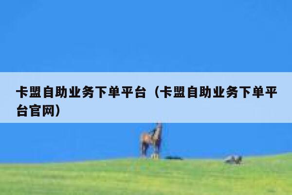 卡盟自助业务下单平台（卡盟自助业务下单平台官网） 第1张
