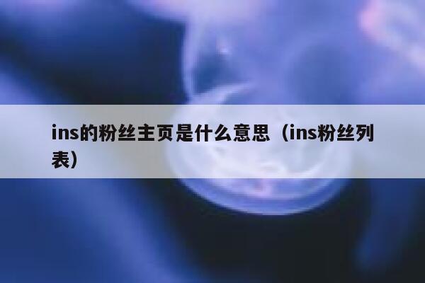 ins的粉丝主页是什么意思（ins粉丝列表） 第1张