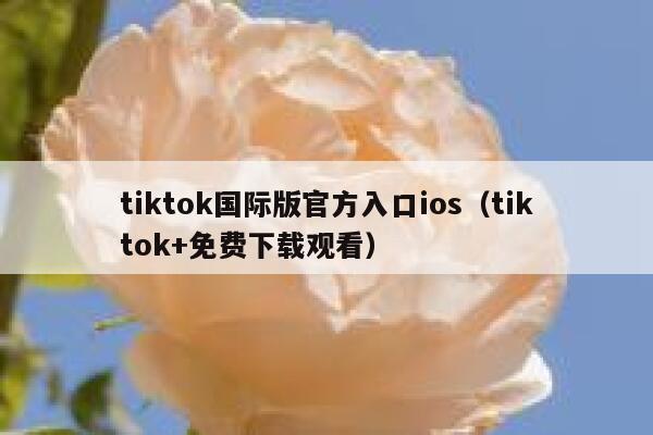 tiktok国际版官方入口ios（tiktok+免费下载观看） 第1张
