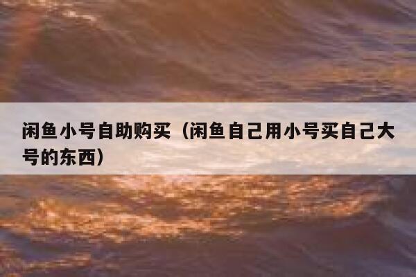 闲鱼小号自助购买（闲鱼自己用小号买自己大号的东西） 第1张