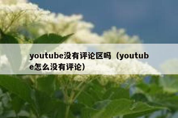 youtube没有评论区吗（youtube怎么没有评论） 第1张