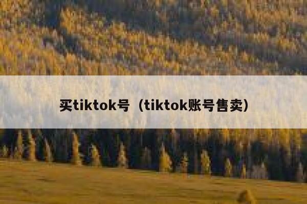 买tiktok号（tiktok账号售卖） 第1张