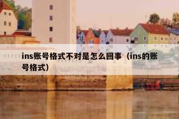 ins账号格式不对是怎么回事（ins的账号格式） 第1张