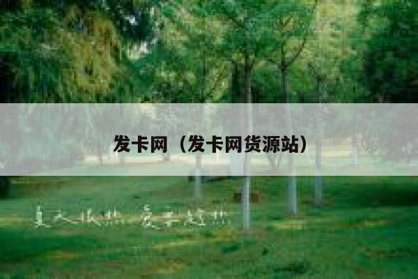 发卡网（发卡网货源站） 第1张
