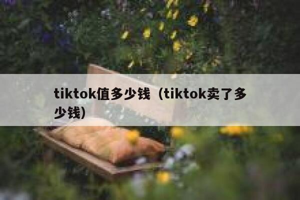 tiktok值多少钱(tiktok卖了多少钱) 第1张 tiktok值多少钱(tiktok卖了多少钱) 第1张