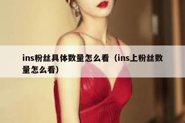 ins粉丝具体数量怎么看（ins上粉丝数量怎么看） 第1张