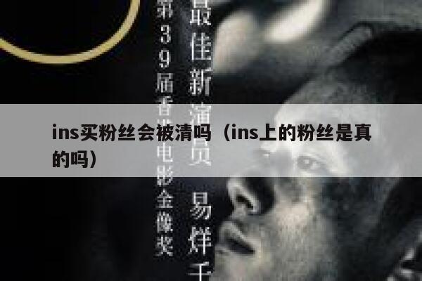 ins买粉丝会被清吗（ins上的粉丝是真的吗） 第1张