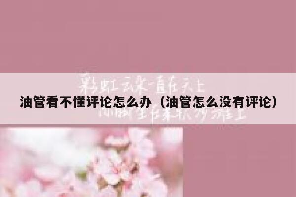 油管看不懂评论怎么办（油管怎么没有评论） 第1张