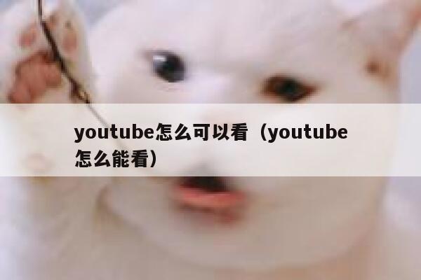 youtube怎么可以看（youtube怎么能看） 第1张