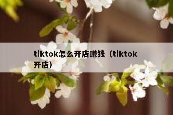 tiktok怎么开店赚钱（tiktok 开店） 第1张