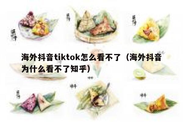 海外抖音tiktok怎么看不了（海外抖音为什么看不了知乎） 第1张