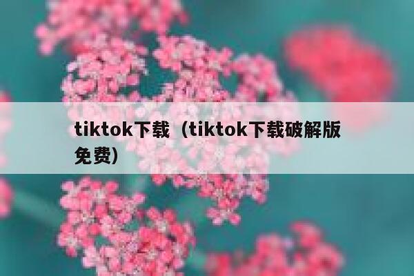 tiktok下载（tiktok下载破解版免费） 第1张