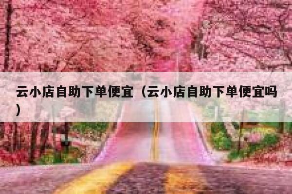 云小店自助下单便宜（云小店自助下单便宜吗） 第1张