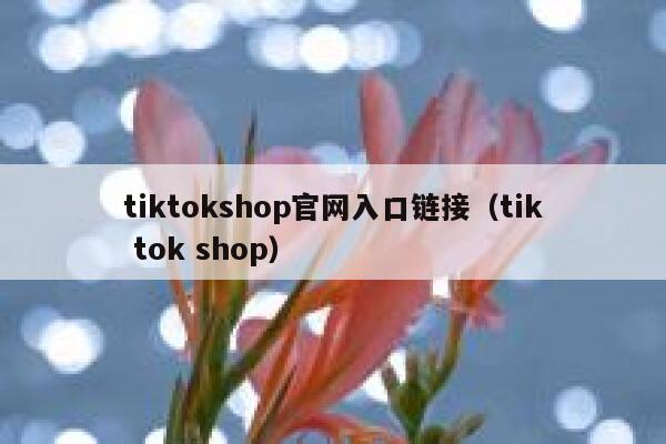 tiktokshop官网入口链接（tik tok shop） 第1张