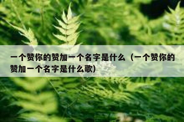 一个赞你的赞加一个名字是什么（一个赞你的赞加一个名字是什么歌） 第1张