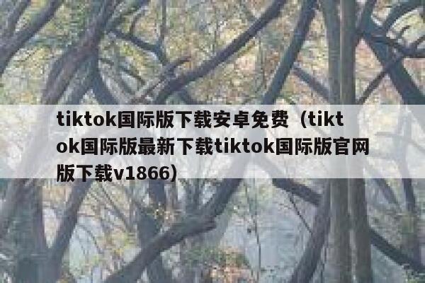 tiktok国际版下载安卓免费（tiktok国际版最新下载tiktok国际版官网版下载v1866） 第1张