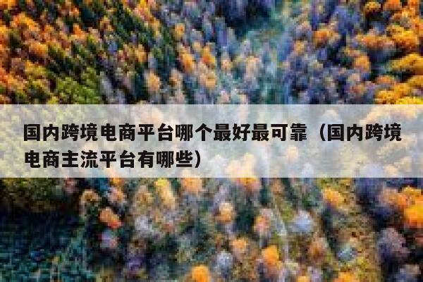 国内跨境电商平台哪个最好最可靠（国内跨境电商主流平台有哪些） 第1张