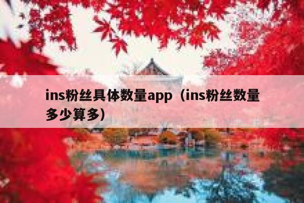 ins粉丝具体数量app（ins粉丝数量多少算多） 第1张