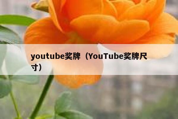 youtube奖牌（YouTube奖牌尺寸） 第1张