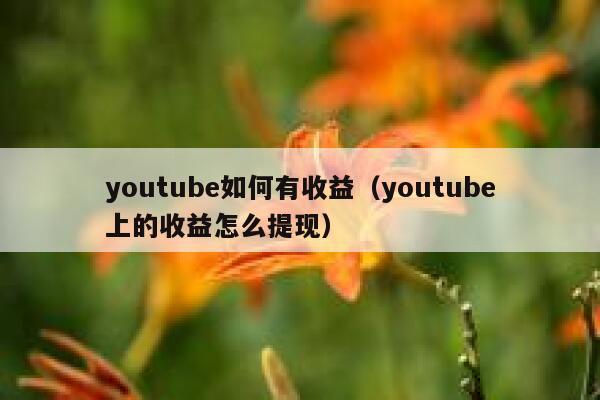 youtube如何有收益（youtube上的收益怎么提现） 第1张