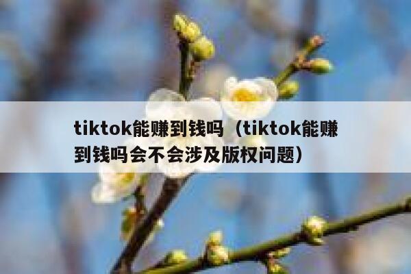 tiktok能赚到钱吗（tiktok能赚到钱吗会不会涉及版权问题） 第1张