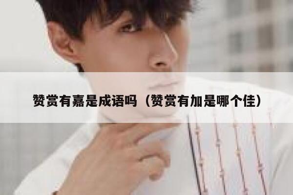 赞赏有嘉是成语吗（赞赏有加是哪个佳） 第1张