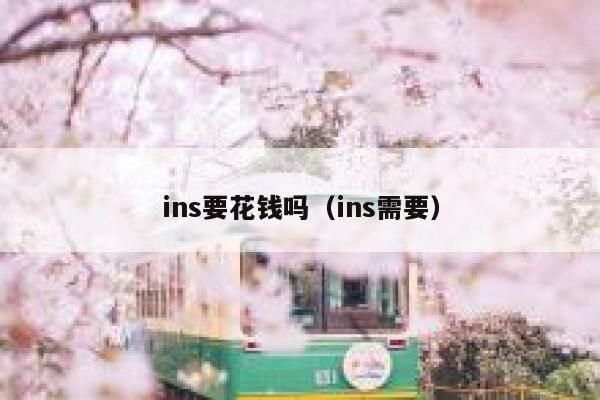 ins要花钱吗（ins需要） 第1张