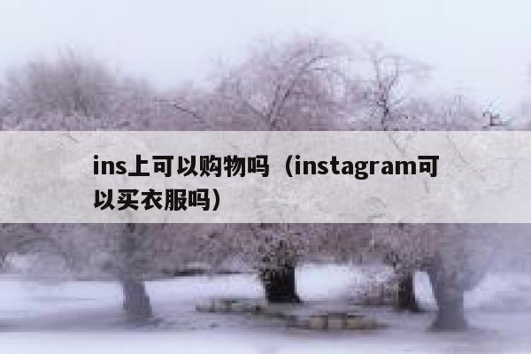 ins上可以购物吗（instagram可以买衣服吗） 第1张
