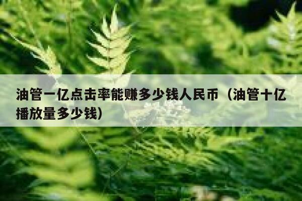油管一亿点击率能赚多少钱人民币（油管十亿播放量多少钱） 第1张